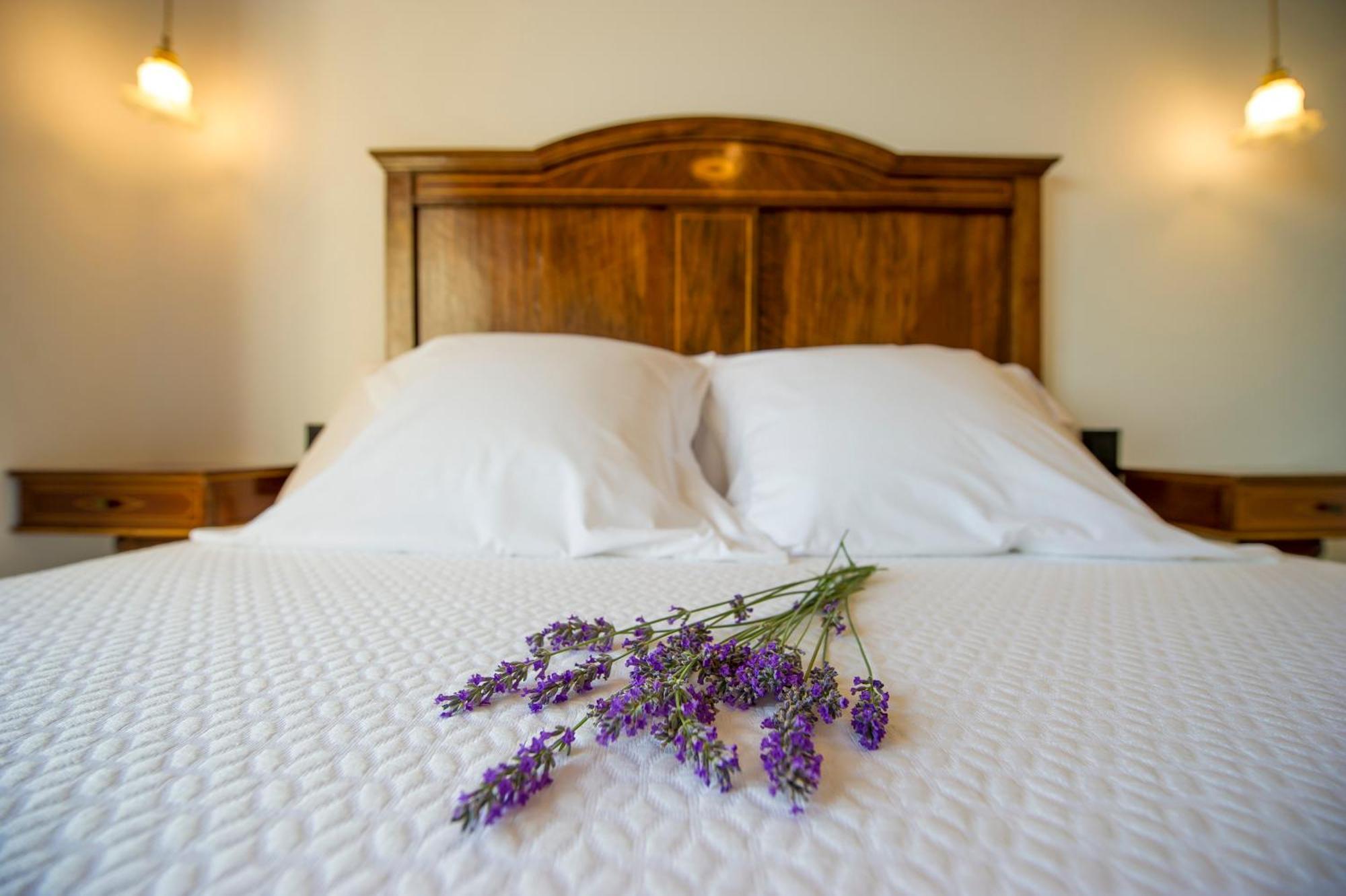 Bolet Casa Modernista Bed and Breakfast Castellvi de la Marca Buitenkant foto