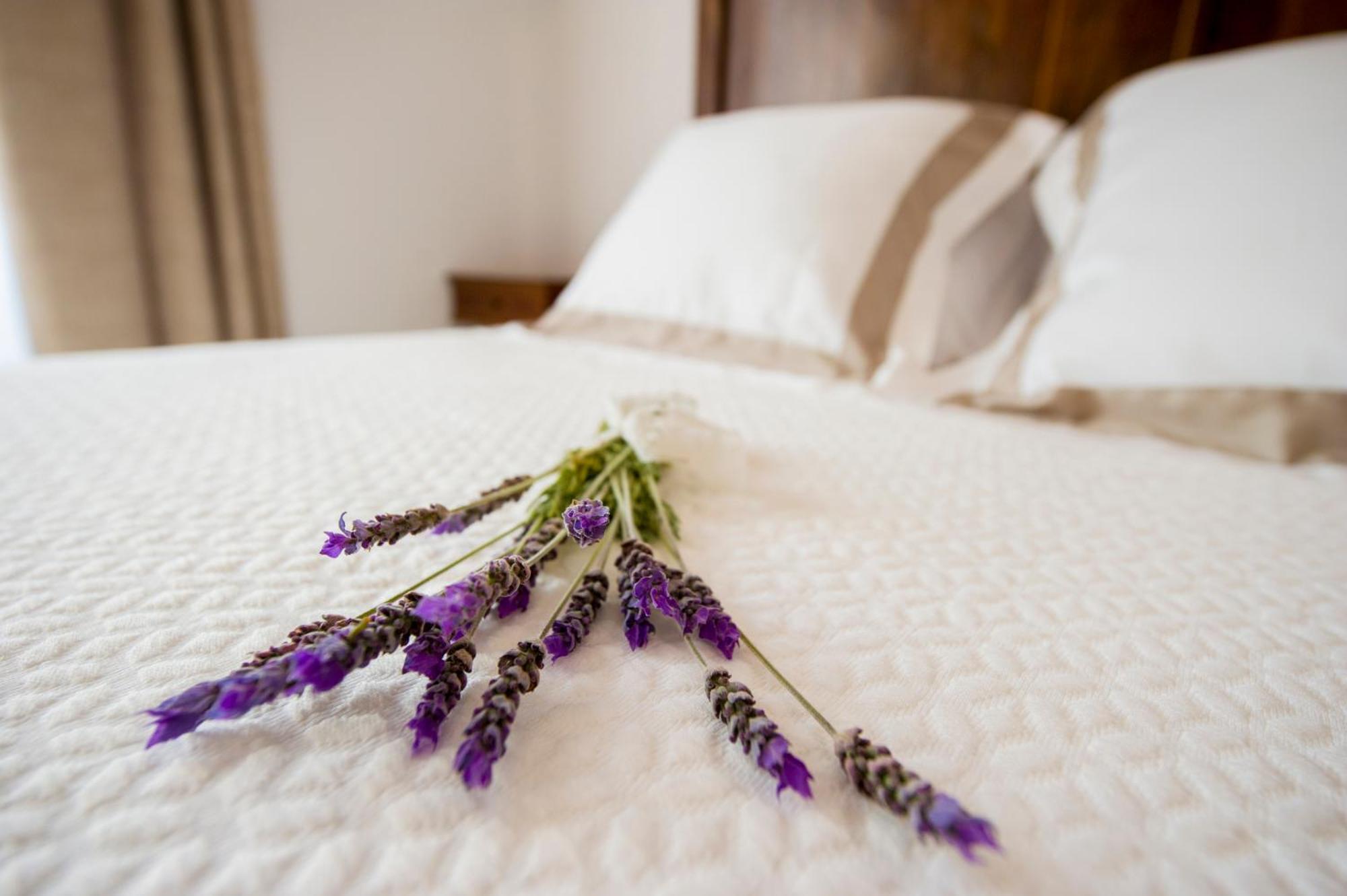 Bolet Casa Modernista Bed and Breakfast Castellvi de la Marca Buitenkant foto